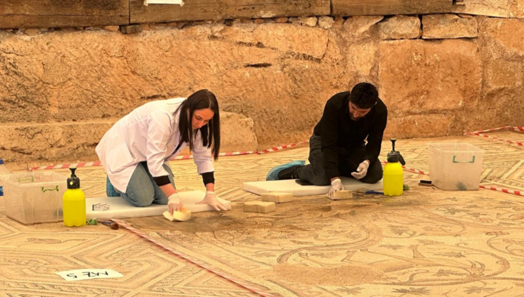 ‘Cennet Bahçesi’ mozaiğinde restorasyon ve konservasyon başladı