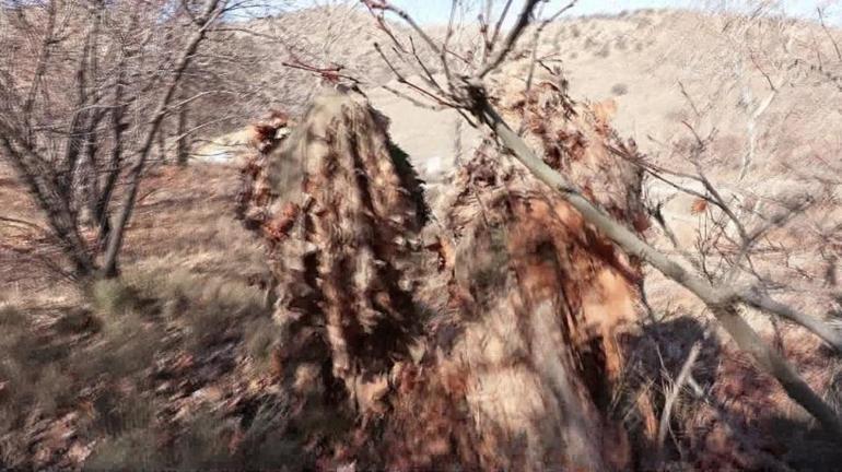 Jandarmanın keskin nişancı timleri CNN TÜRKte TETİĞİM SAVAŞIN KADERİNİ YAZAR