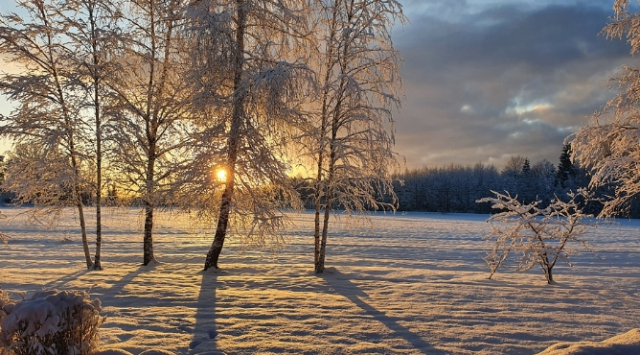 Bayburt okullar tatil mi, 12 Ocak Pazartesi Bayburt'ta okul yok mu (BAYBURT VALİLİĞİ – KAR TATİLİ)?
