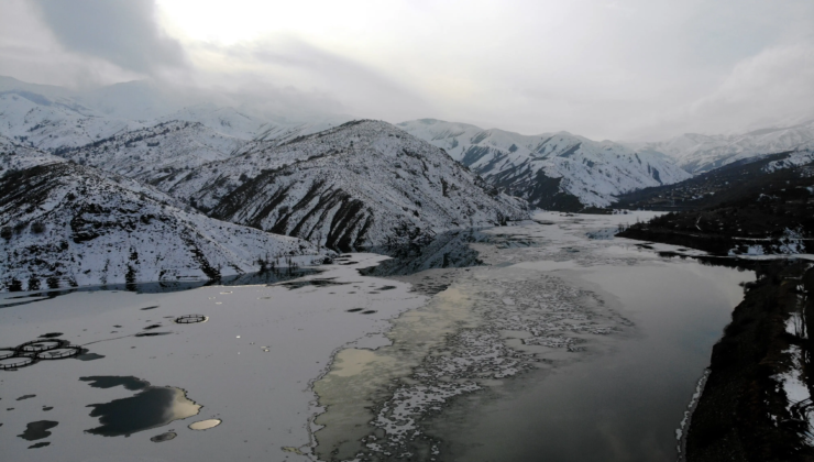 Erzincan’da baraj dondu, balık kafesleri buzlar altında kaldı