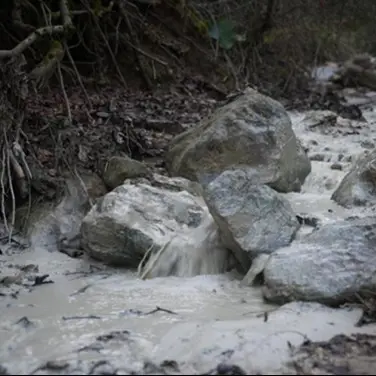 Bursa’da çevre felaketi