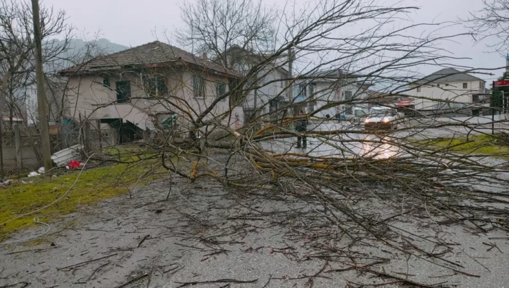 Düzce ve Kocaeli'de şiddetli rüzgar bazı binaların çatısını uçurdu, ağaçları devirdi