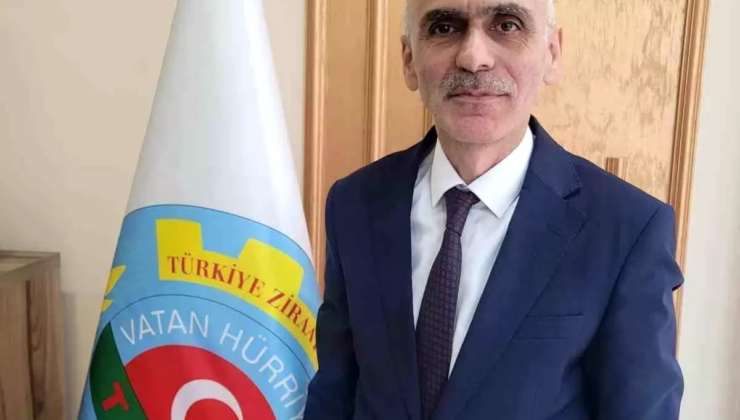 Fındık ihracatındaki düşüş rekolte kaybına bağlandı