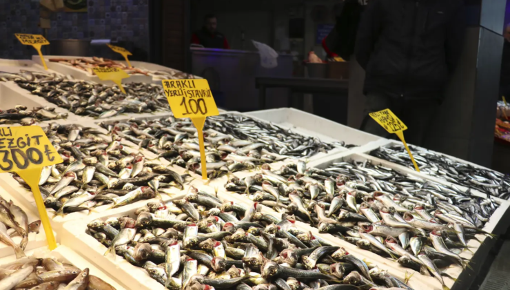 Hamsi gitti istavrit geldi. Kilosu üç katına çıktı