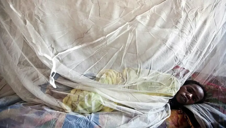 Lassa ateşi. Nijerya’da 2 ayda 70 kişi öldü