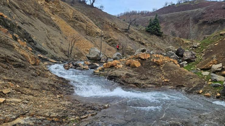 Diyarbakır, Kulp’ta kayıp Salih Ertaş için arama çalışmaları sürüyor
