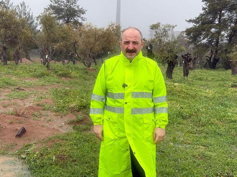 Mustafa Varank, Muğladaki zeytin ağaçlarının taşınma sürecini yerinde inceledi: Ekolojik dengeyi sonuna kadar koruyacağız
