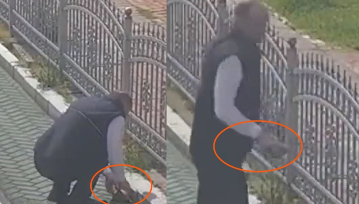 Kocaeli'de tramvay hattında sevgi dolu duraklama: Vatmandan kaplumbağaya yardım eli