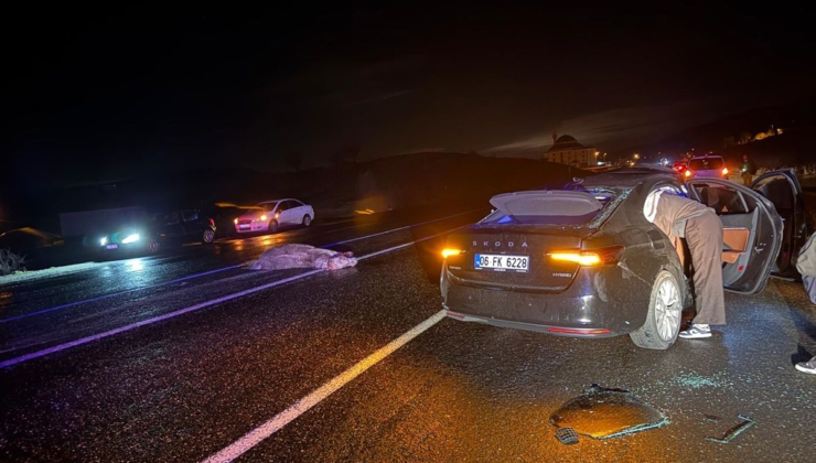 Bingöl'de ata çarpan otomobildeki 4 kişi yaralandı