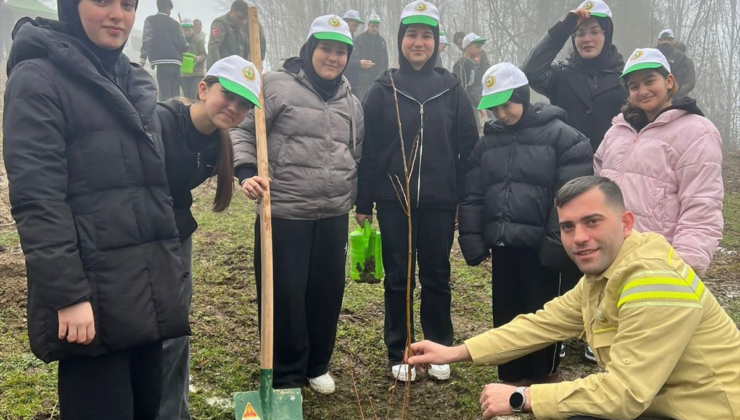 Türkeli'de fidanlar toprakla buluşturuldu