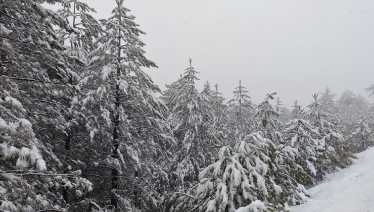 Manisa'nın Demirci ilçesinde kar etkili oldu