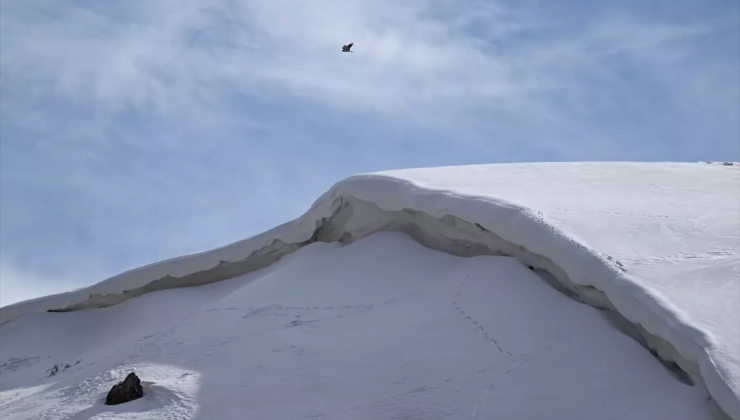 "Havanın ısınması çığ riskini artırıyor" uyarısı