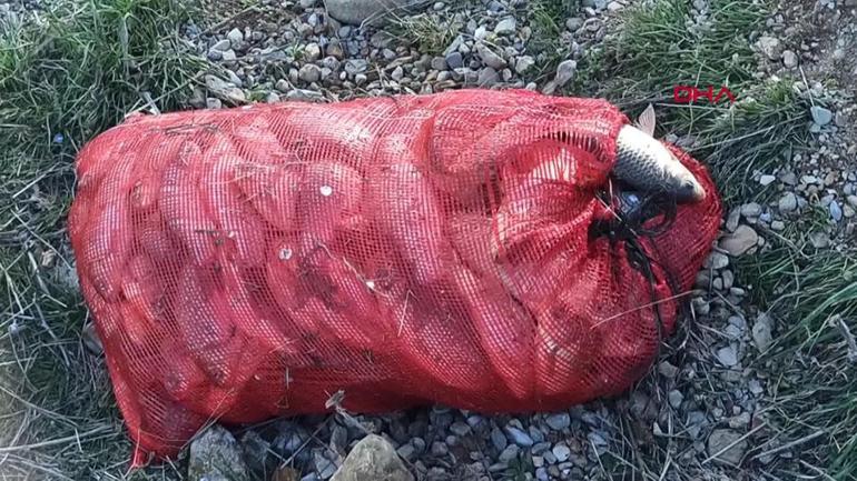 Haberi duyan baraja koştu: Toplamaya yetişemediler