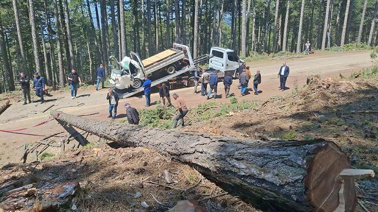 Bursada ormanda ağaç kesimi sırasında feci ölüm