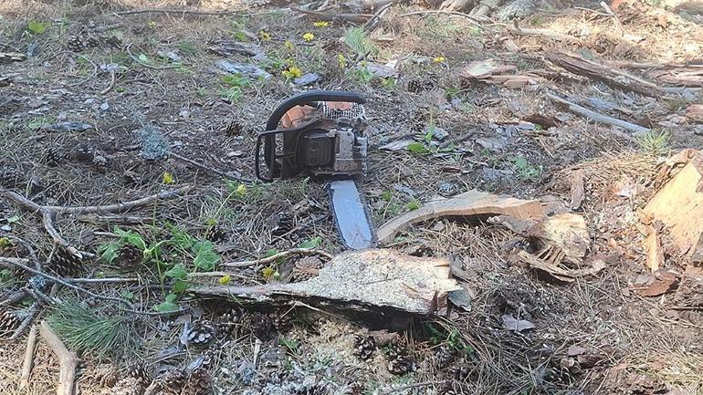 Bursada ormanda ağaç kesimi sırasında feci ölüm