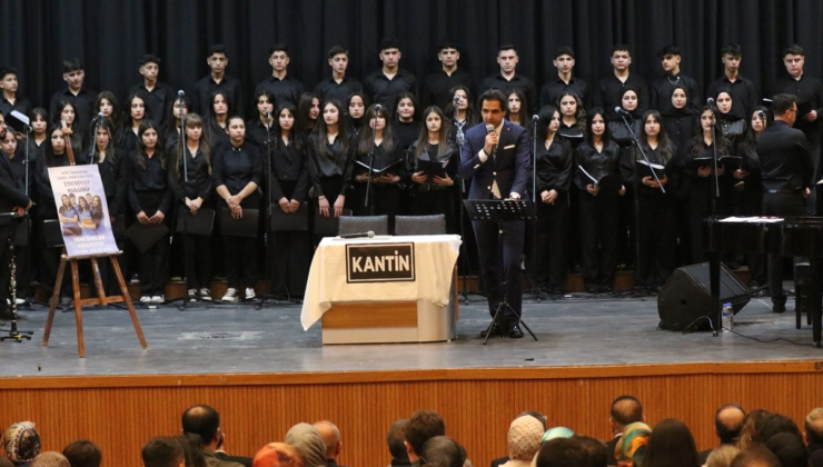 Siirt'te müzikal tiyatro "Kim Var?" sahnelendi