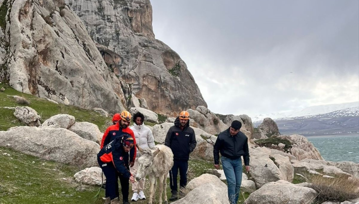 Van'da kayalıklarda mahsur kalan eşek kurtarıldı