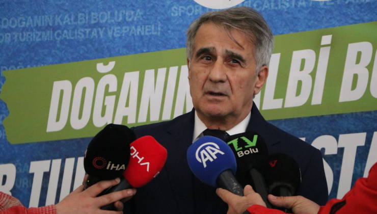 Şenol Güneş: Milli takımın çeyrek finale kadar rahat gelebilecek bir görüntüsü var