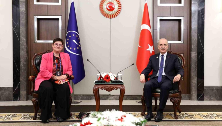 TBMM Başkanı Kurtulmuş, Avrupa Konseyi Parlamenter Meclisi Başkanı Bayr ile bir araya