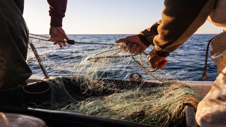 AV YASAĞI BAŞLADI MI? 2026 Av Yasağı Ne Zaman Bitecek? Ne Zamana Kadar Avlanma Yasak?