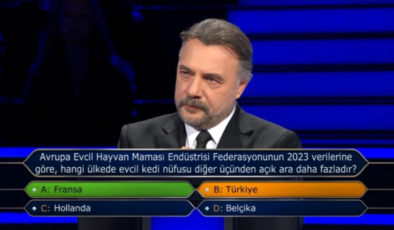 Avrupa Evcil Hayvan Maması Endüstrisi Federasyonunun 2023 verilerine göre, hangi ülkede evcil kedi nüfusu diğer üçünden açık ara daha fazladır?