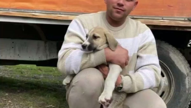 Ordu'da ciple çarpışan motosikletin sürücüsü öldü