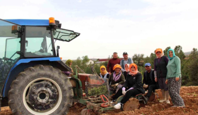 Poşusunu takan Kaymakam Kuran üreticilerle birlikte kekik dikti