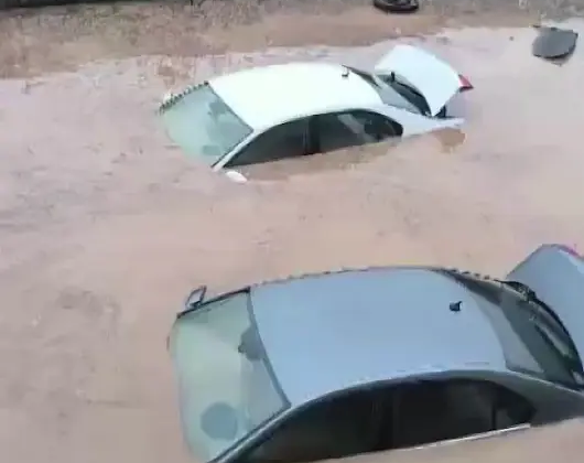 Siirt’te sel felaketi: Araçlar sulara kapıldı, hayvanlar telef oldu