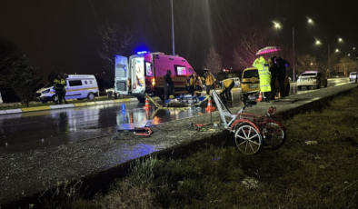 Erzincan'da taksiyle çarpışan bisikletin sürücüsü öldü