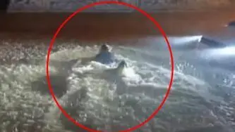 Sağanakta göle dönen sokakta böyle yüzdü