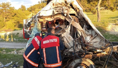 Mersin'de devrilip ağaca çarpan kamyonun sürücüsü yaralandı