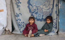 Gazze kamplarında haşere istilası. Çocukları fareler ısırıyor