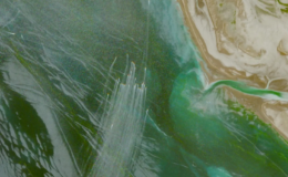 Hürmüz’de Trump’tan vur emri