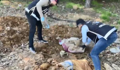 Pendik'te düzenlenen operasyonda toprak altındaki depoda binlerce silah parçası bulundu