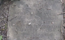 Şehirdeki tek Müslümandı. İzine bir kilisenin bahçesinde rastlandı