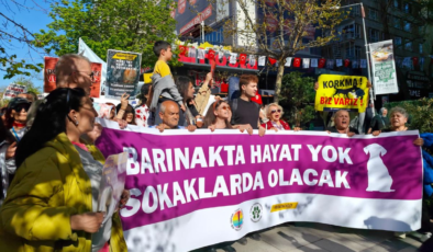 Hayvanseverler Ankara'da sokak hayvanları ve barınak koşullarına dikkat çekti