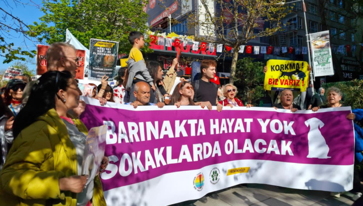 Hayvanseverler Ankara'da sokak hayvanları ve barınak koşullarına dikkat çekti