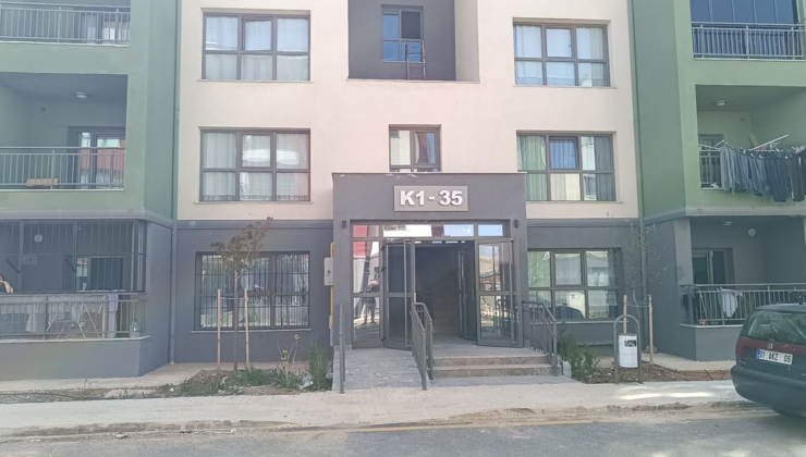 Adıyaman'da parçalanmış halde yavru kedi bulundu