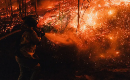 Japonya’da ormanlar yanıyor