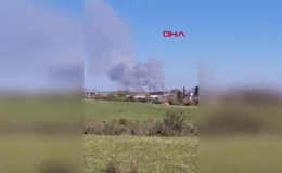 Beykoz'da ormanlık alanda çıkan yangın söndürüldü