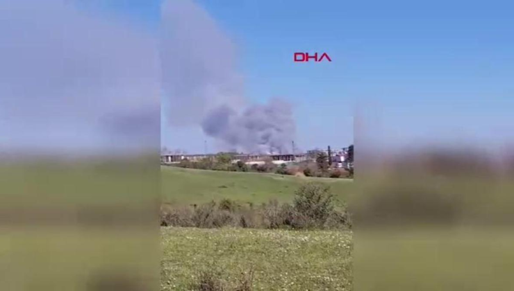 Beykoz'da ormanlık alanda çıkan yangın söndürüldü