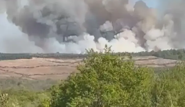 Beykoz’da orman yangını