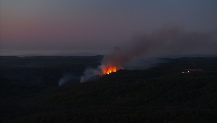 Beykoz'da ormanlık alanda çıkan yangına müdahale sürüyor