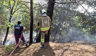 İskenderun'da orman yangını kontrol altına alındı