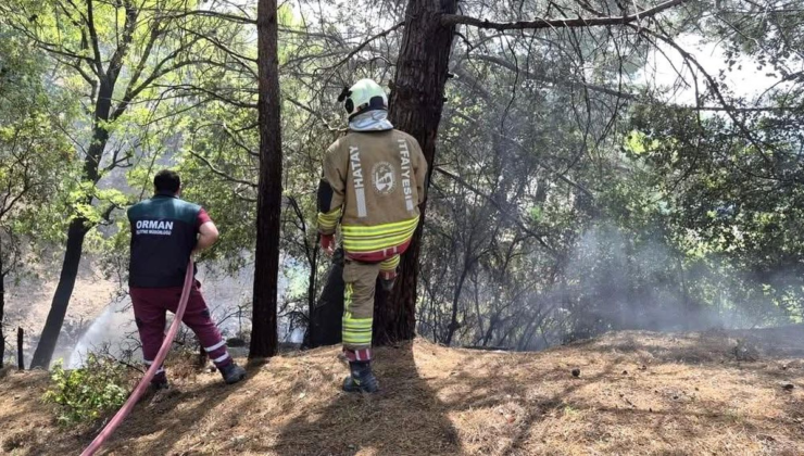 İskenderun'da orman yangını kontrol altına alındı