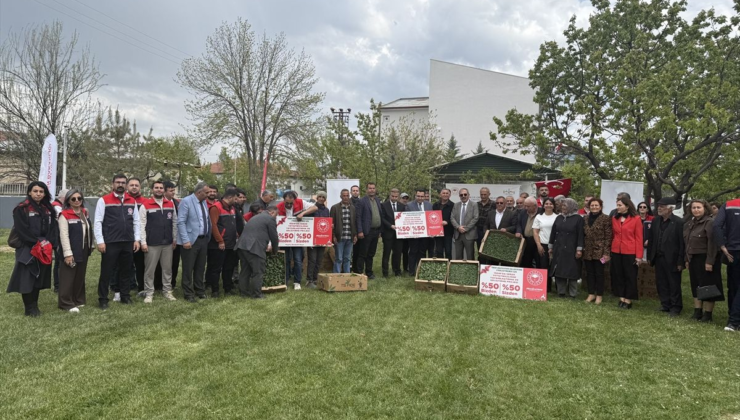 Iğdır'da 350 bin fide dağıtıldı