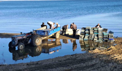 İznik Gölü'nde bereketli sezon…Gümüş balığında yüzler gülüyor