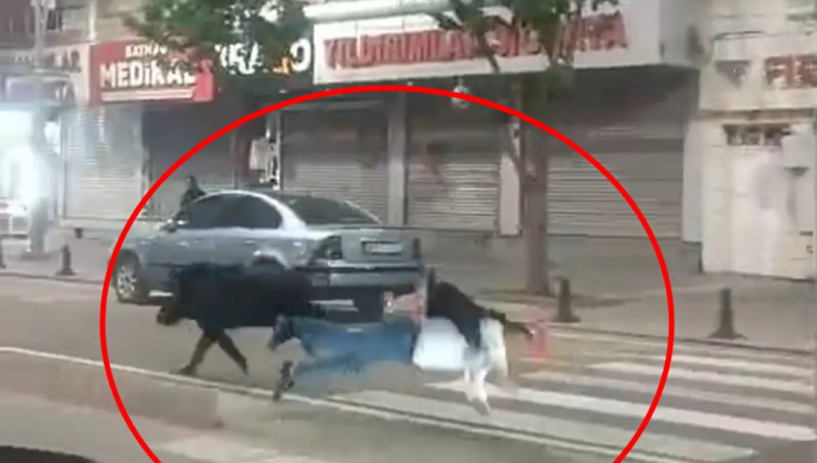 Şehir ortasında yaban domuzu paniği! 3 kişiye saldırdı