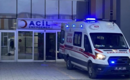 Van'da sahipsiz köpek dehşeti! 5 yaşındaki çocuk hayatını kaybetti