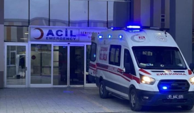 Van'da sahipsiz köpek dehşeti! 5 yaşındaki çocuk hayatını kaybetti